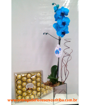 Cód: 5610                        Orquídea Blue com Ferrero Rocher
